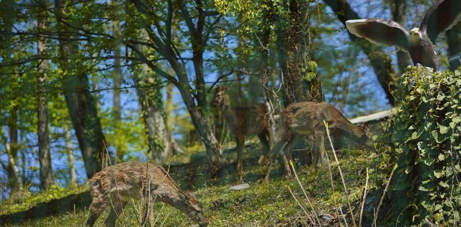 квартира г Сочи р-н Лазаревский ул Прозрачная 15/1е Лазурный Берег кп фото 26