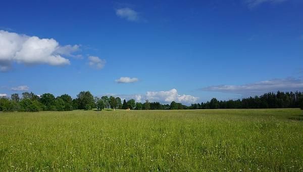 земля р-н Торбеевский рп Торбеево фото 1