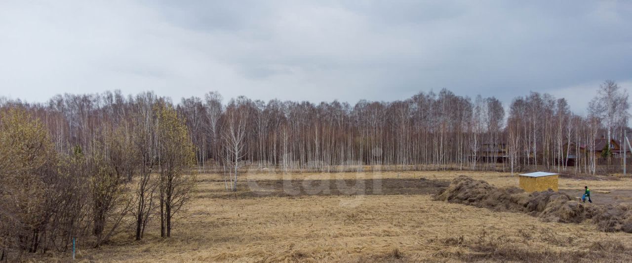 земля р-н Тюменский д Решетникова Новотарманское сельское поселение фото 4