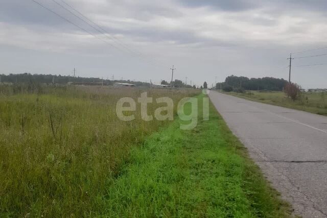 земля р-н Томский село Зоркальцево фото