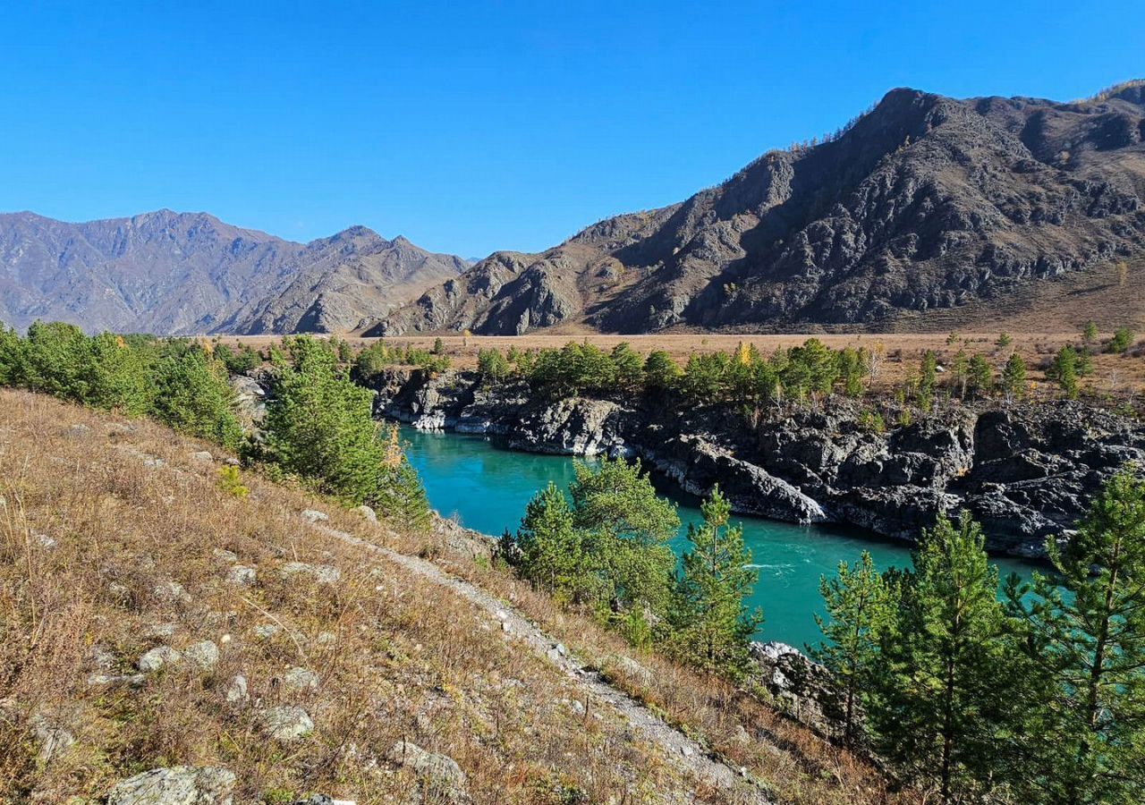 земля р-н Чемальский с Ороктой ул Центральная Онгудай фото 17