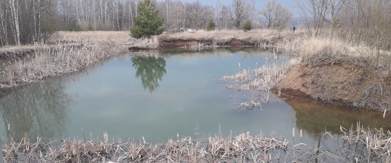 дом р-н Тарусский г Таруса ул Семейная 10 городское поселение Таруса фото 23