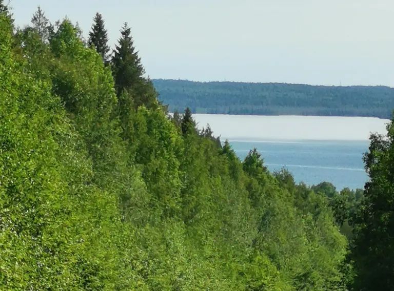 дом р-н Беломорский г Беломорск ул Сальнаволокская 9 фото 27