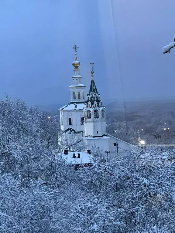 квартира г Владимир ул Вознесенская 15 фото 9