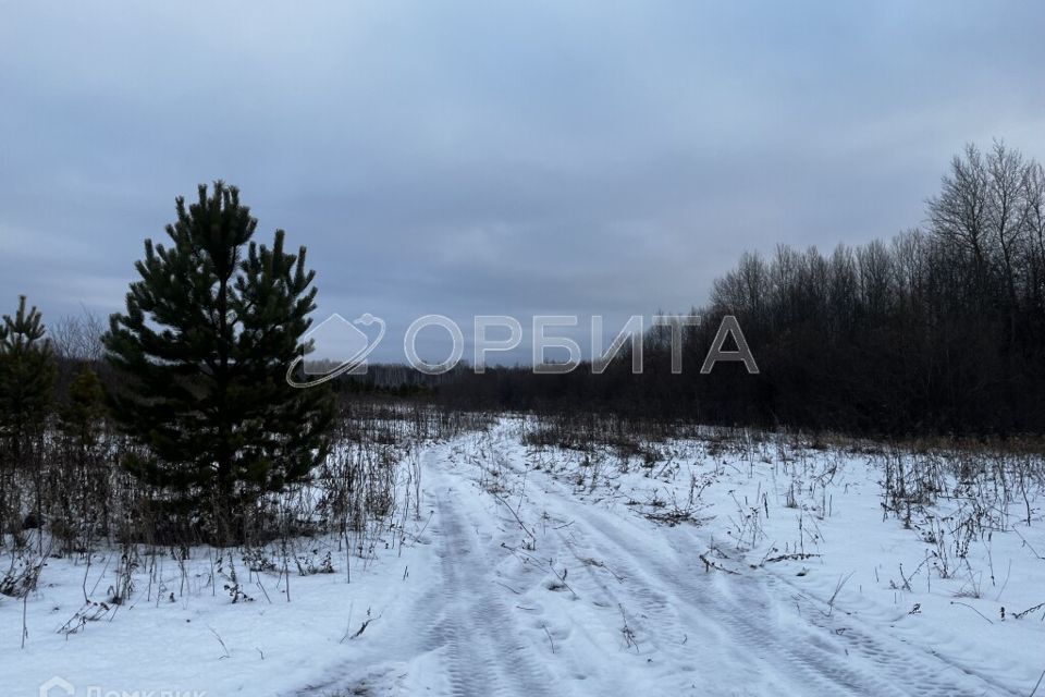 земля р-н Тюменский с Горьковка ул Совхозная 23 Горьковское сельское поселение фото 1