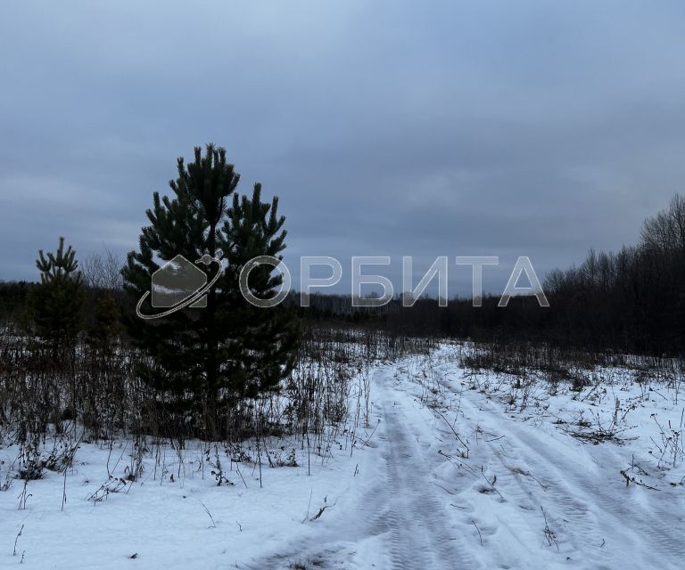 земля р-н Тюменский с Горьковка ул Совхозная 23 Горьковское сельское поселение фото 10