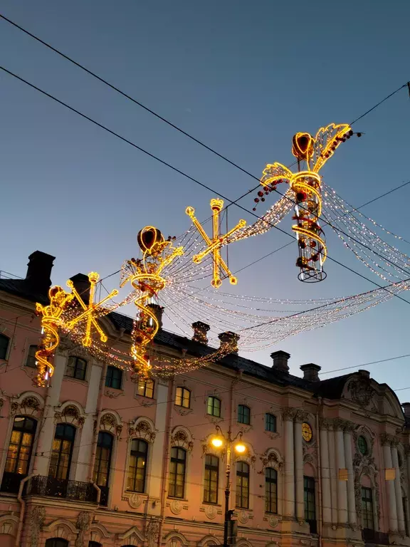 квартира г Санкт-Петербург метро Политехническая пр-кт Луначарского 19 к 1, Ленинградская область фото 13