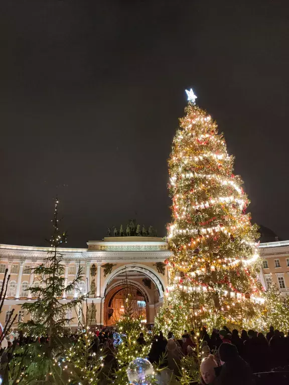 квартира г Санкт-Петербург метро Политехническая пр-кт Луначарского 19 к 1, Ленинградская область фото 16