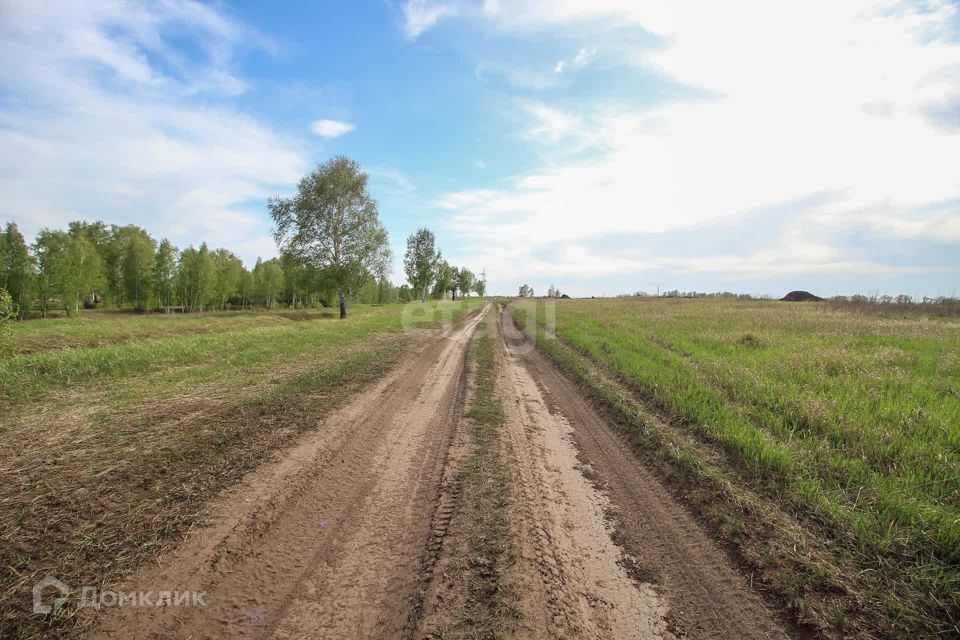 земля р-н Первомайский п Новый ул Райская Берёзовский сельсовет фото 10