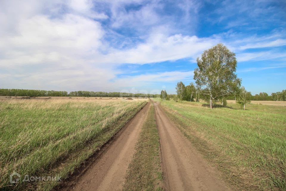 земля р-н Первомайский п Новый ул Райская Берёзовский сельсовет фото 9