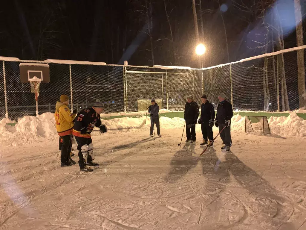 дом р-н Приозерский п Ромашки 1, Приозерск фото 20