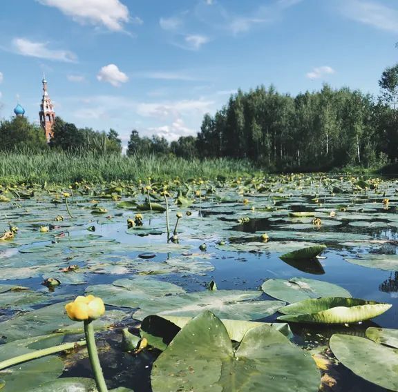 дом г Пушкино Звягино ул. Кирова, 12А фото 24