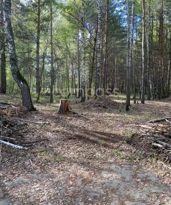 земля р-н Тюменский рп Боровский сельское поселение Боровский фото 4