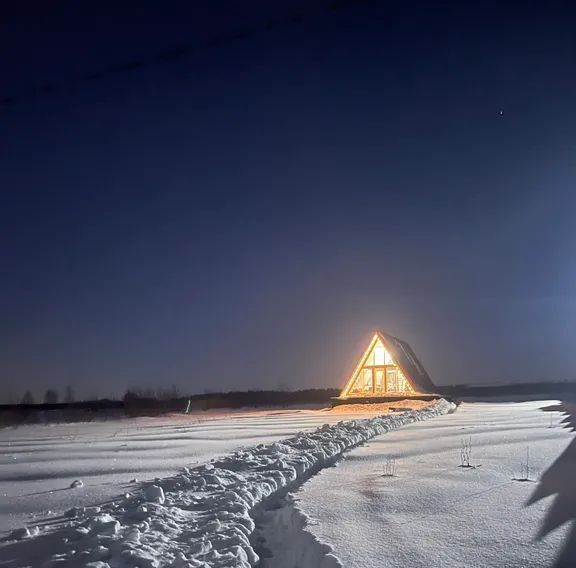 дом городской округ Ступино д Шелково ул Центральная 62 фото 11