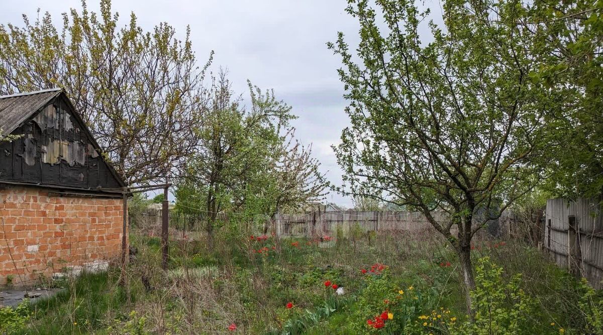 дом городской округ Шебекинский с Новая Таволжанка ул Советская фото 22