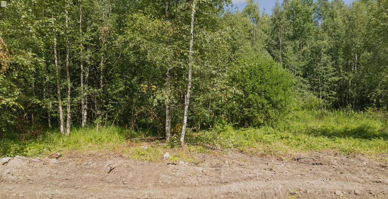 земля р-н Всеволожский г Кудрово Улица Дыбенко, Заневское городское поселение, Мурманское шоссе, 12-й километр фото 2