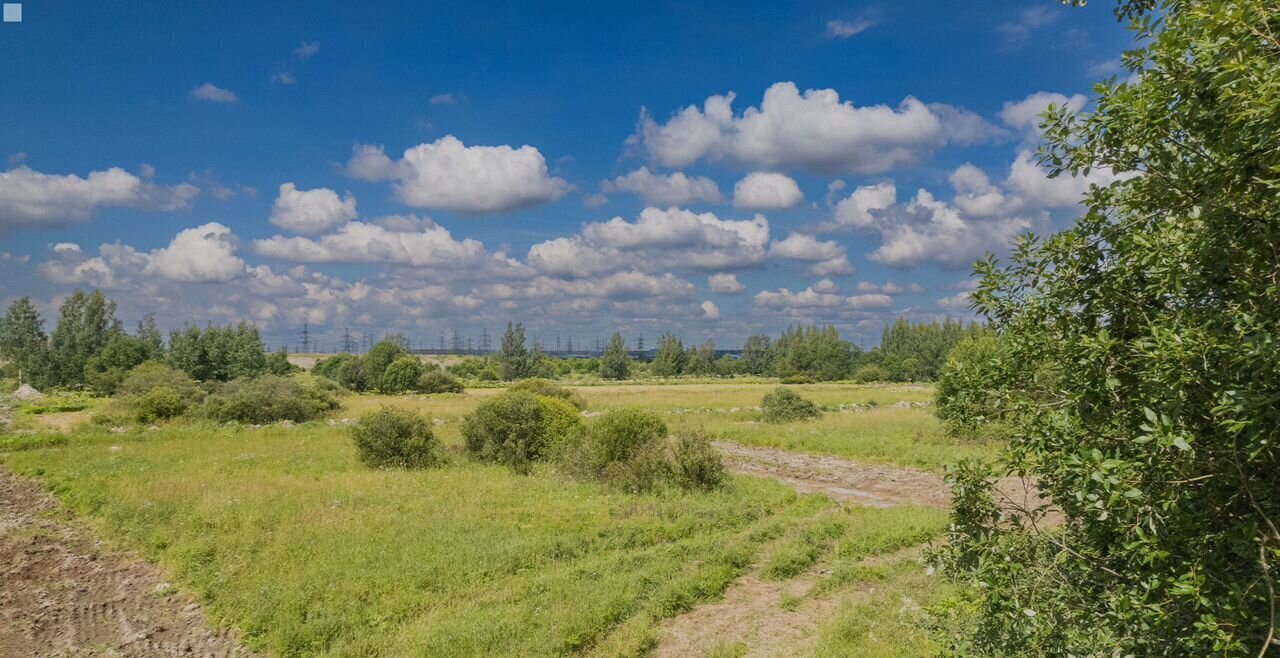 земля р-н Всеволожский г Кудрово Улица Дыбенко, Заневское городское поселение, Мурманское шоссе, 12-й километр фото 3