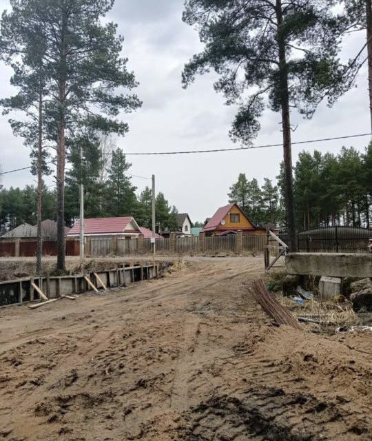 земля г Сосновый Бор Сосновоборский городской округ, СНТ Бастион фото 4