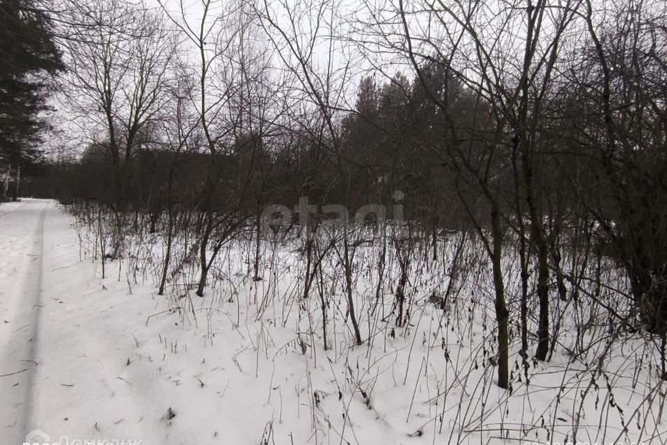 земля городской округ Воскресенск с Конобеево ул Фабричная фото 3