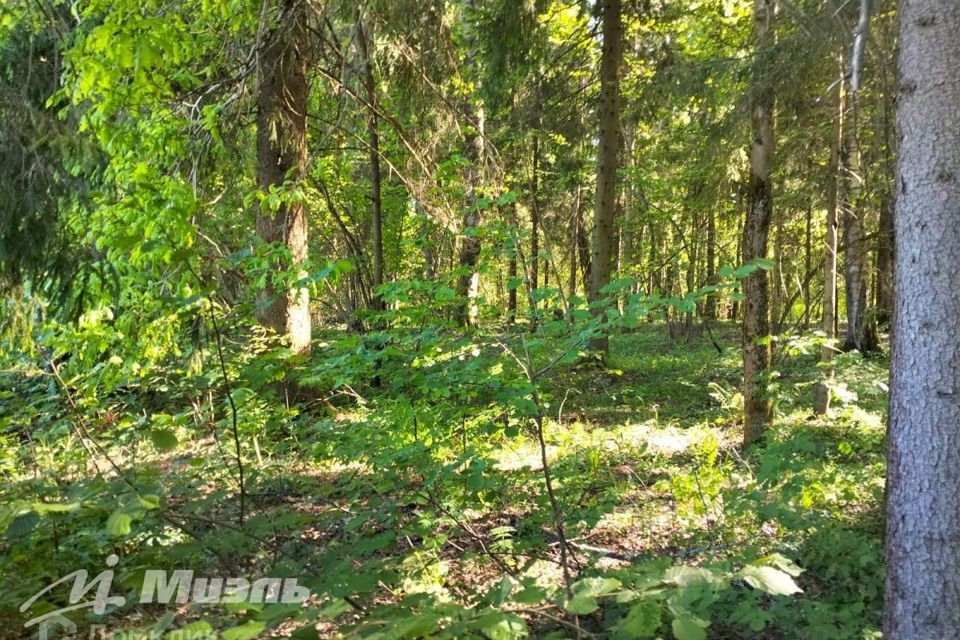 земля городской округ Клин СНТ Ёлочки ЛЭП фото 4