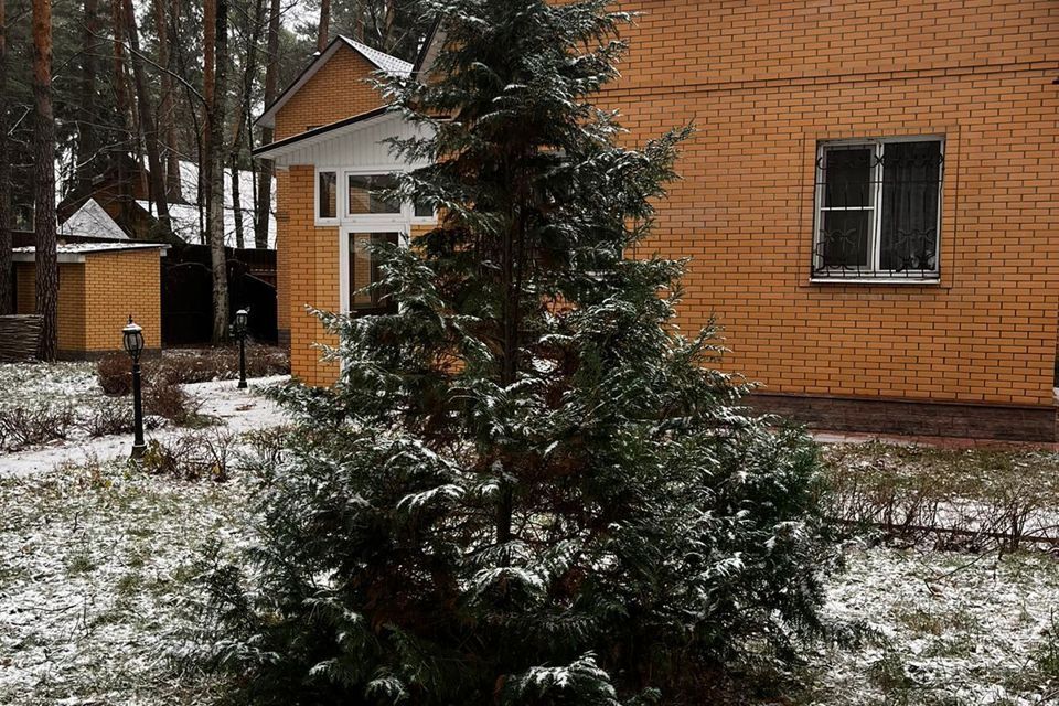 дом городской округ Раменский дп. Удельная, улица Пушкина, 20 фото 3