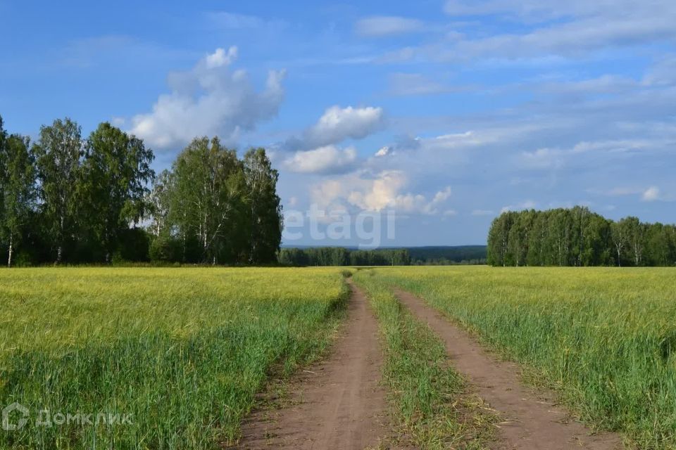 земля городской округ Серпухов д. Большое Грызлово фото 3