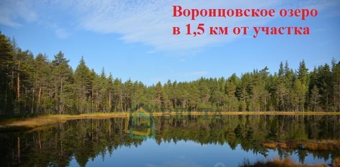 земля р-н Выборгский п Первомайское пос, Линтулово кп, ул. Золотая фото 8