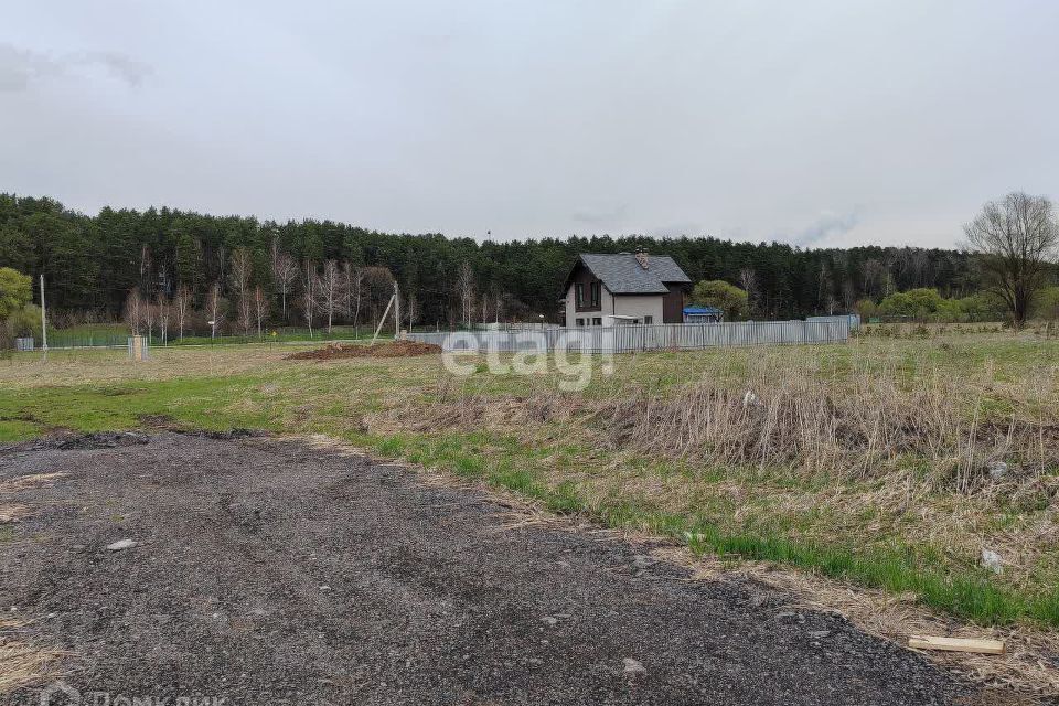 земля городской округ Домодедово д. Ильинское фото 6