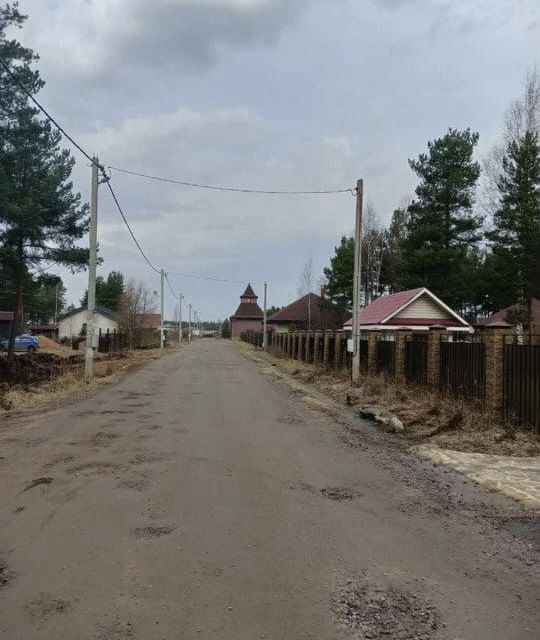 земля г Сосновый Бор Сосновоборский городской округ, СНТ Бастион фото 6