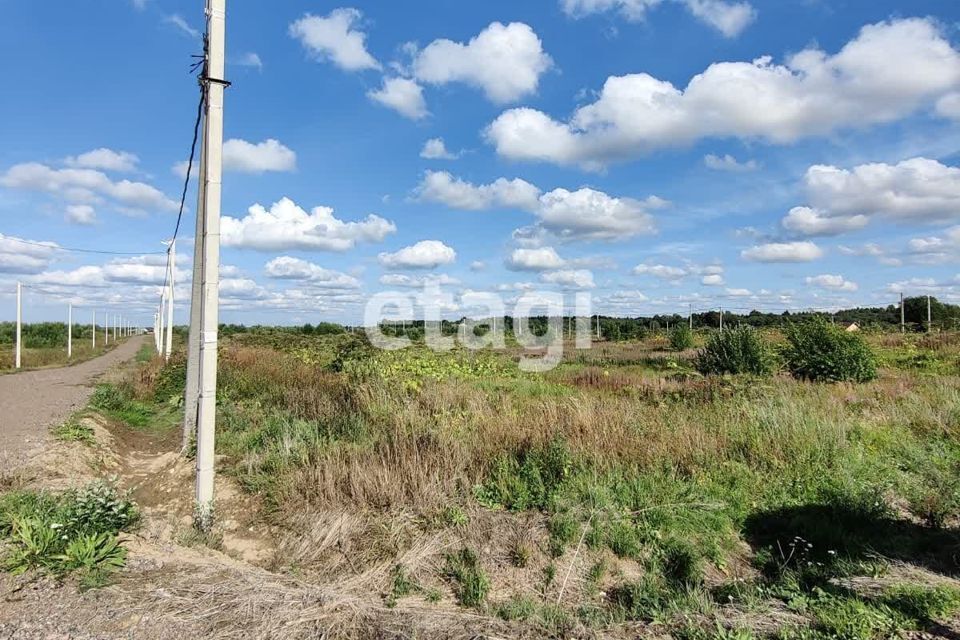 земля р-н Ломоносовский снт тер.Новое Заостровье ул Рябиновая 2 фото 7