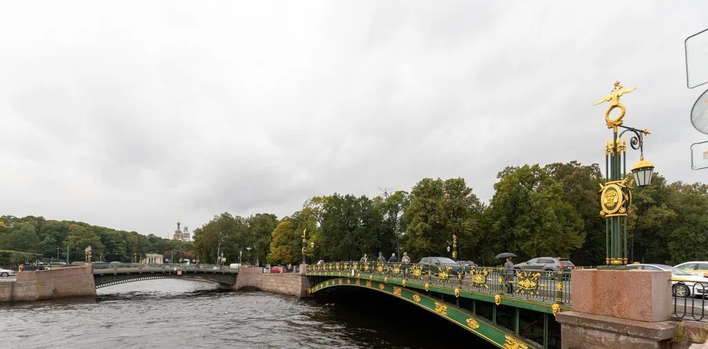 квартира г Санкт-Петербург метро Чернышевская ул Пестеля 11 округ Литейный фото 19