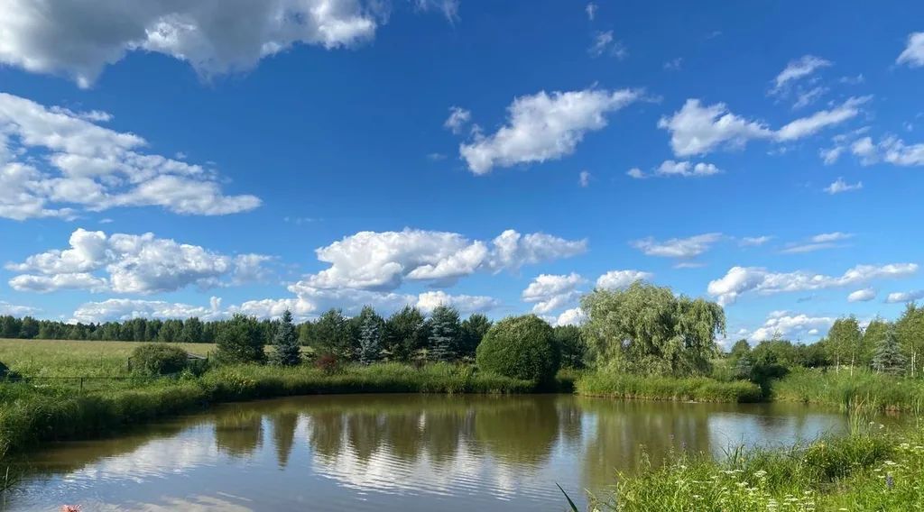 дом городской округ Клин д Степанцево 15А фото 12