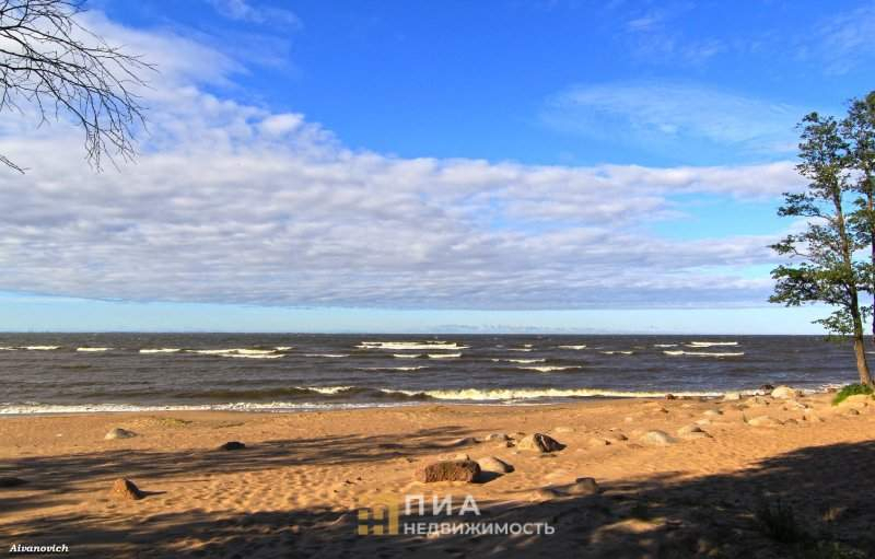 готовый бизнес р-н Выборгский п Лужки Беговая, д. 1 фото 2