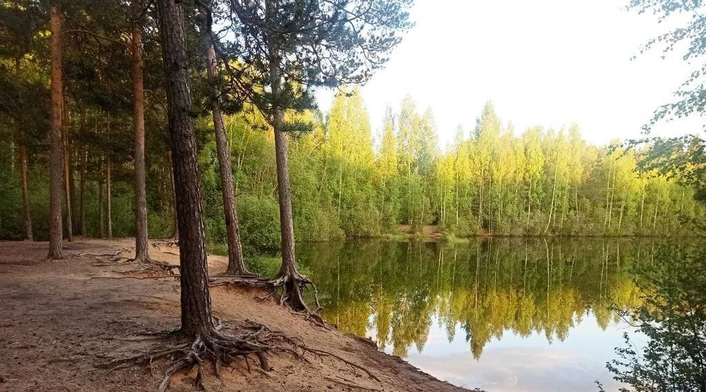 дом Большеижорское городское поселение, 31/2, Ломоносовский район, Виктория СНТ фото 20