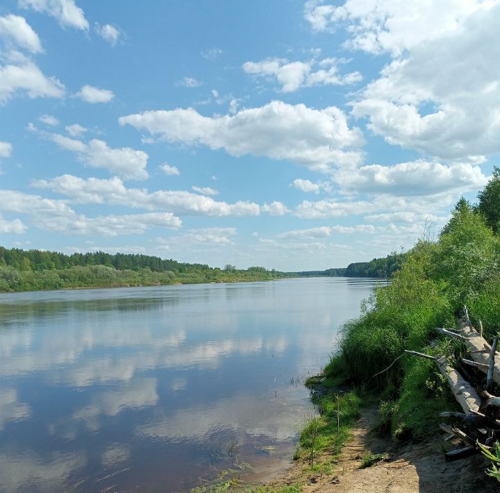 земля р-н Варнавинский Курдома тер фото 7