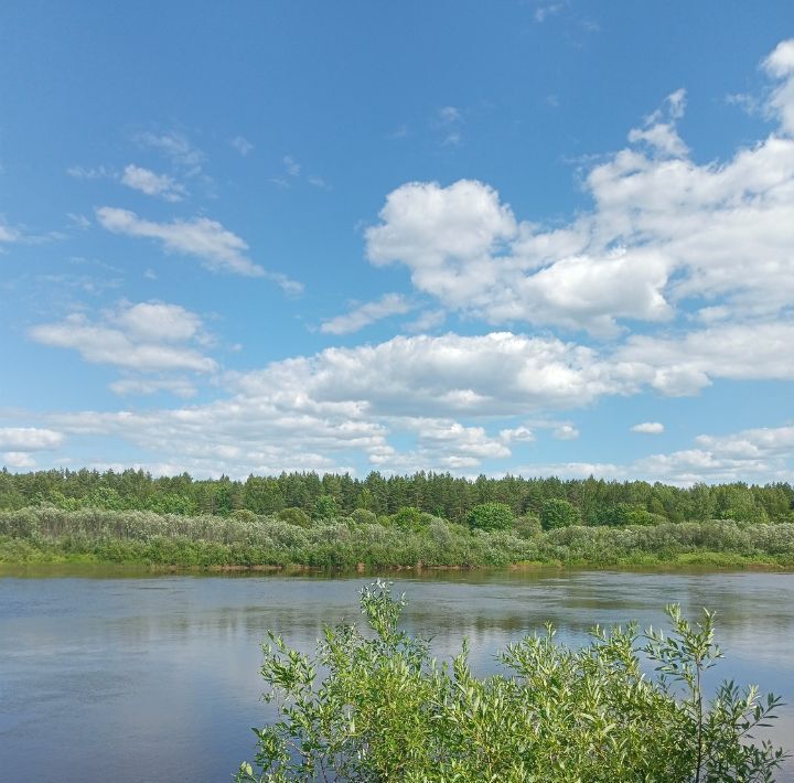 земля р-н Варнавинский Курдома тер фото 6