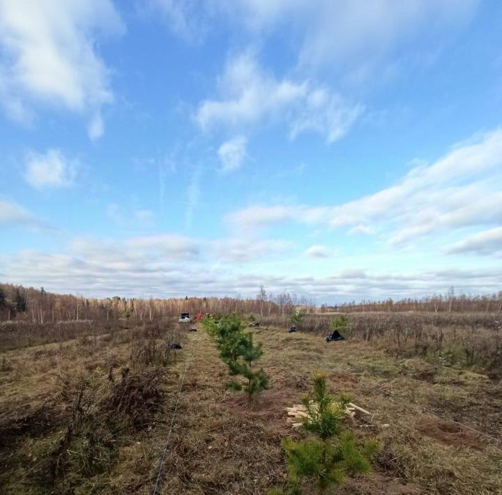 земля городской округ Дмитровский д Быково фото 11