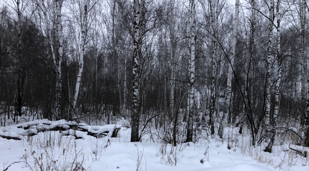 земля р-н Новосибирский Каменский сельсовет, Микрорайон Близкий дм, ул. 16-я фото 7