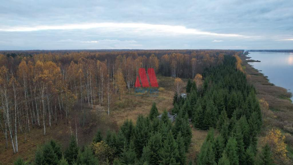 земля р-н Некрасовский д Ченцы Ченцы территория фото 1