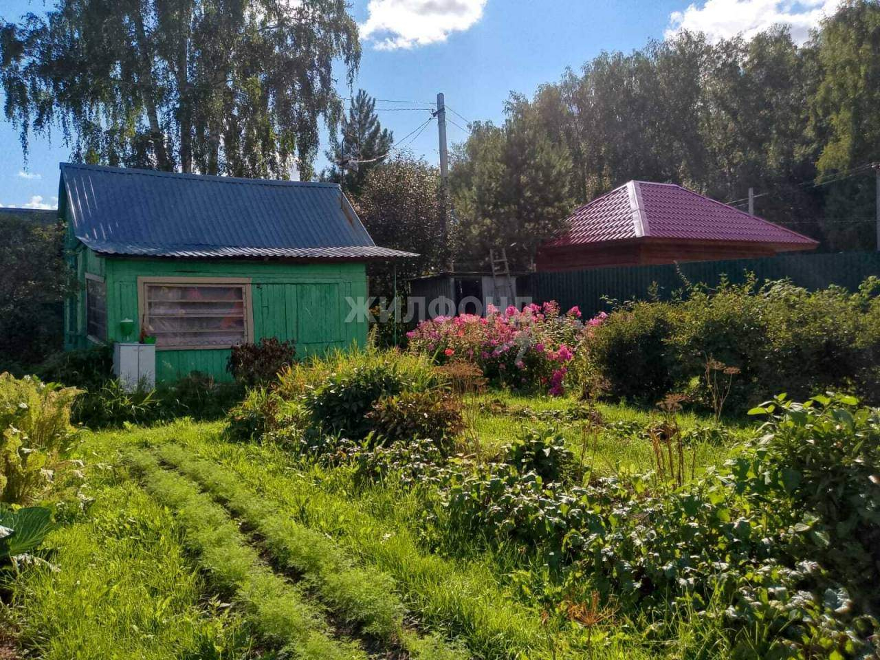 земля г Новосибирск р-н Заельцовский Заельцовская, Любитель территория снт фото 1