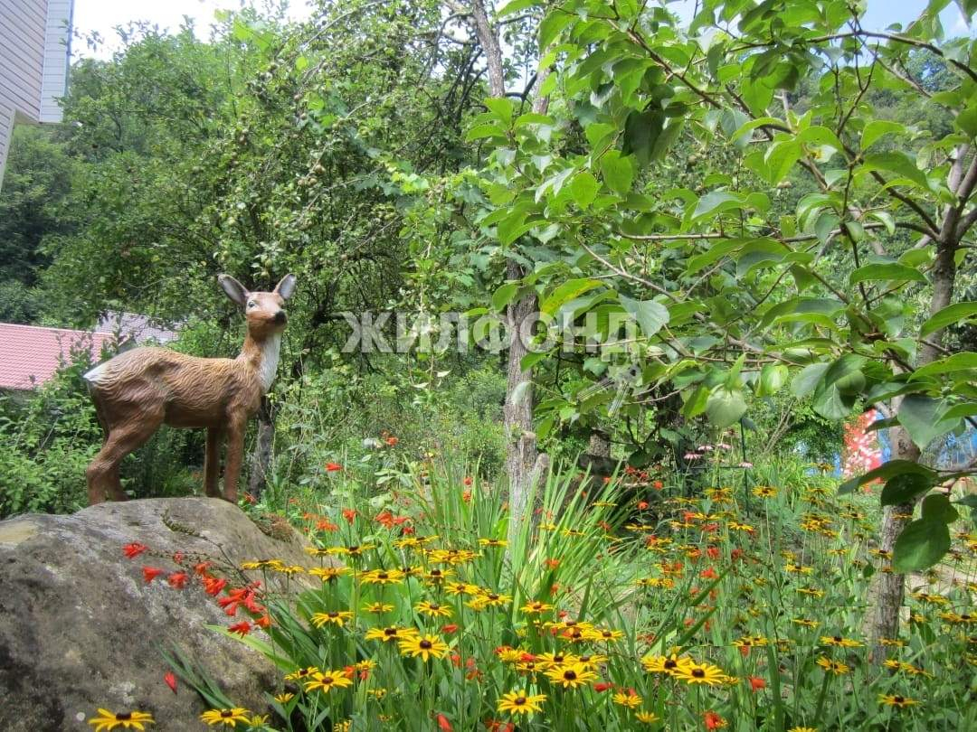 дом г Сочи с Илларионовка р-н Адлерский с Казачий Брод ул Краснофлотская фото 3