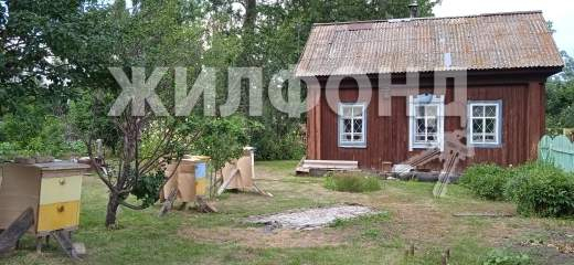 дом р-н Зональный с Шубенка ул Братьев Анискиных Шубенский сельсовет фото 2