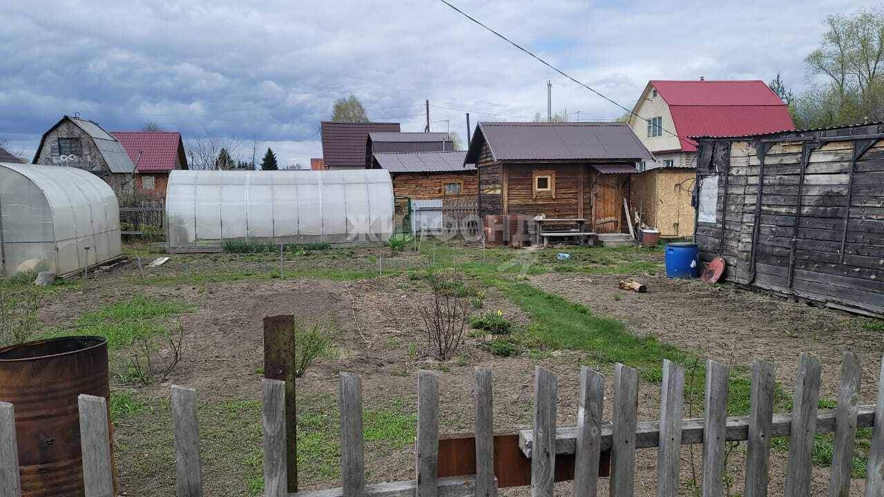 дом р-н Колыванский НСТ Надежда территория фото 2