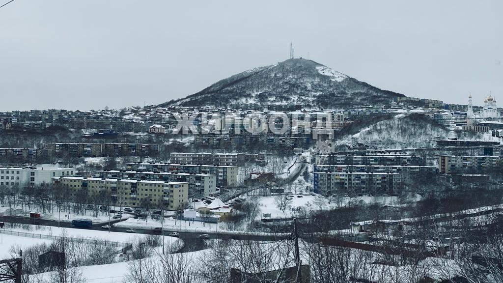 квартира г Петропавловск-Камчатский проезд Орбитальный 14 фото 8