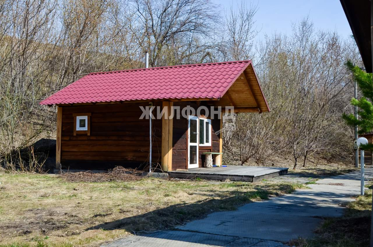 дом р-н Алтайский п Даниловка ул Лесная фото 17