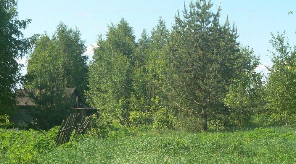 земля р-н Судогодский д Неврюево Вяткинское муниципальное образование фото 2