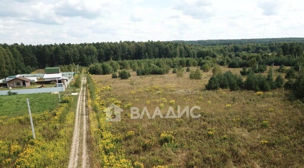 земля р-н Судогодский д Суховка ул Светлая Лавровское муниципальное образование фото 4