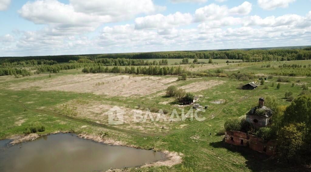 земля р-н Суздальский д Аннино Новоалександровское муниципальное образование фото 1