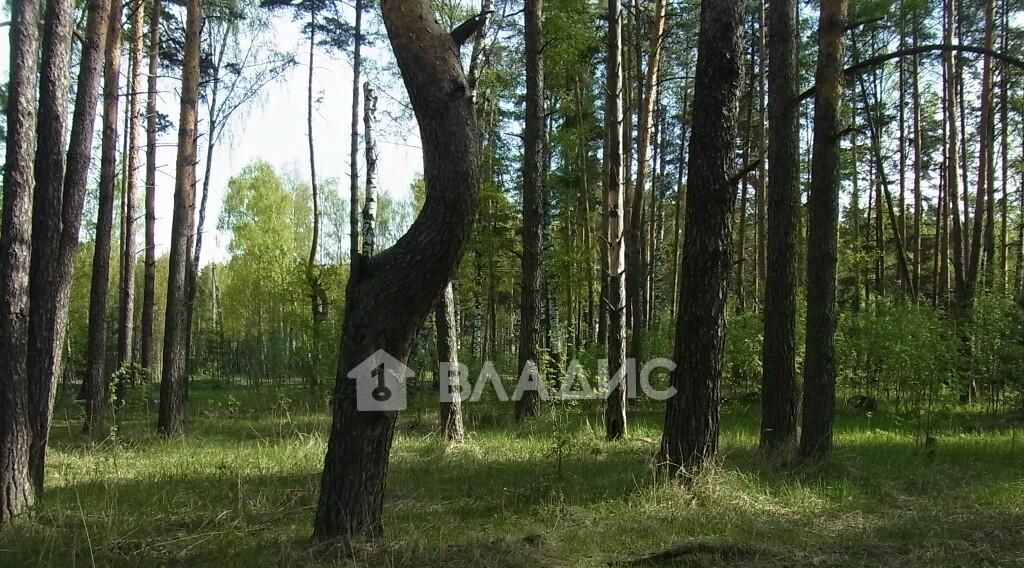 земля р-н Судогодский д Торжково Лавровское муниципальное образование, 14 фото 2