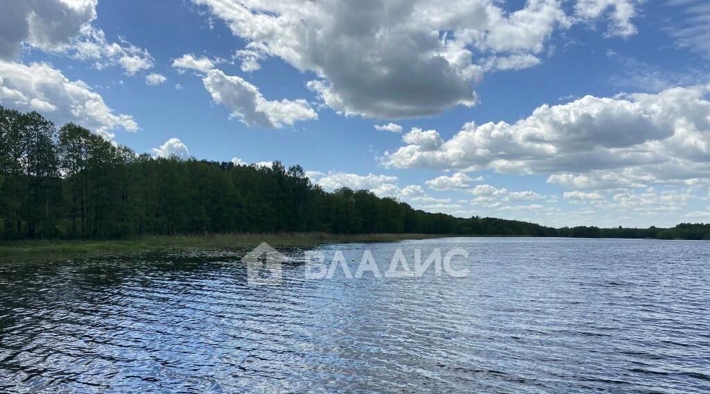 дом р-н Камешковский д Лубенкино Пенкинское муниципальное образование фото 30